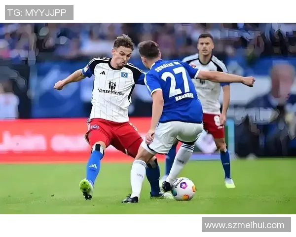 汉堡队制胜球，德甲比赛全取三分！