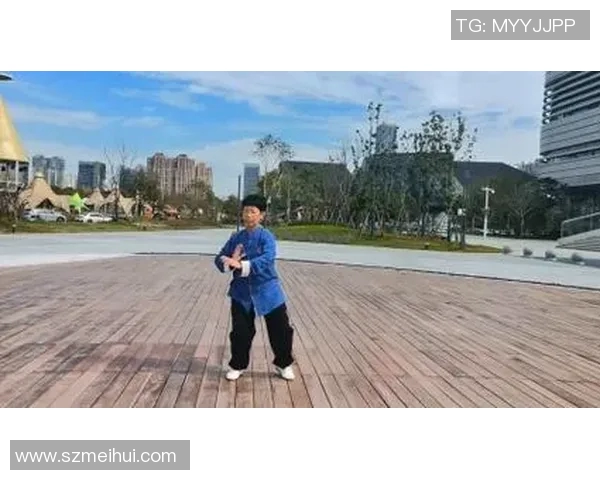 探索陈氏太极拳24式的奥秘与实用技巧提升身体素质与内心平和之道