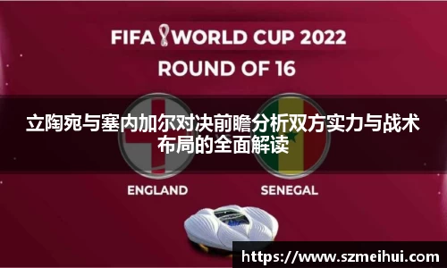 立陶宛与塞内加尔对决前瞻分析双方实力与战术布局的全面解读