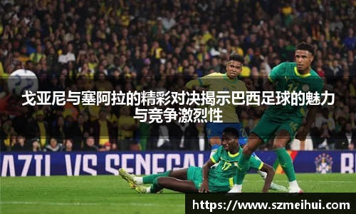 三亿体育新版本