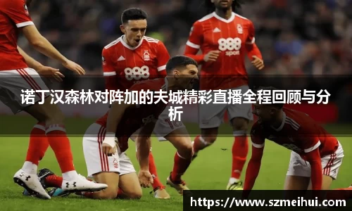 三亿体育手机下载